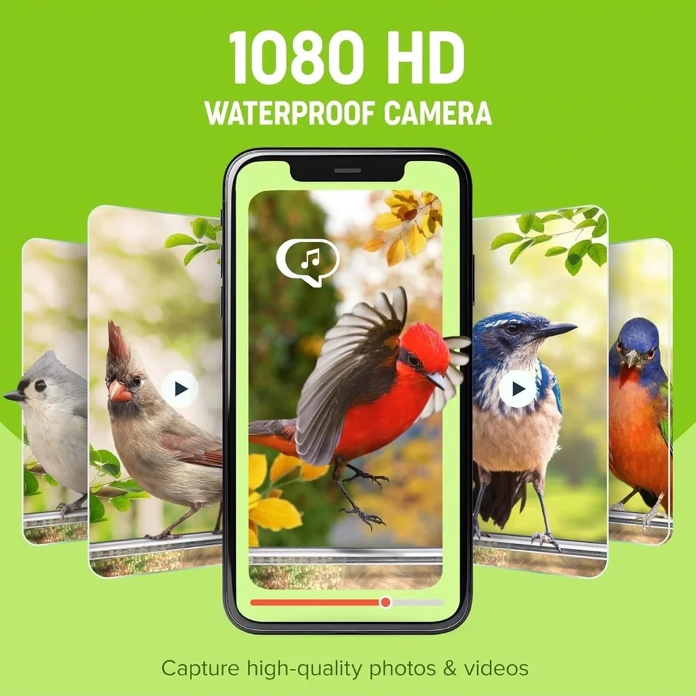 Bird Feeder Smart Camera Nest-Flix/Clear/Charging panel on top. Nature Anywhere.